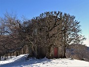 CASTEL REGINA e PIZZO CERRO innevati da Catremerio (11febb21)